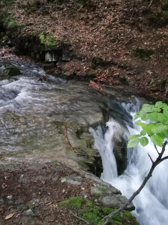 MesznaChalpa Na Skarpie别墅 外观 照片